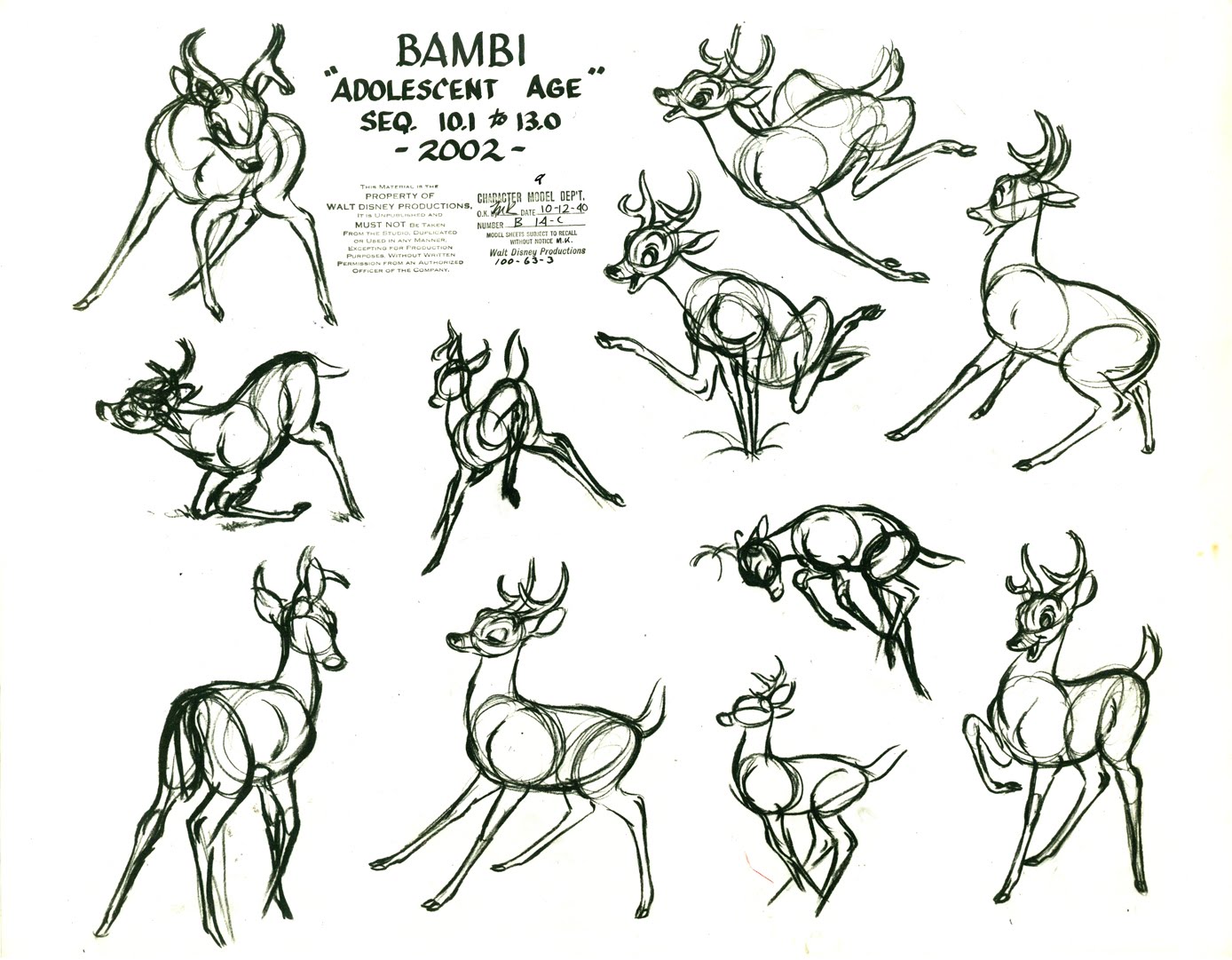 BambiModelSheet13