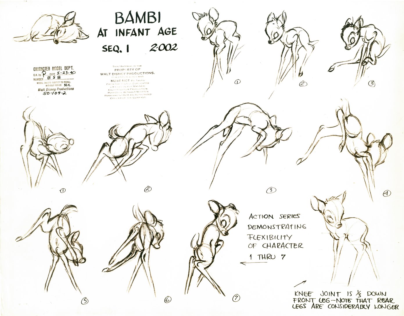 BambiModelSheet19