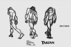 TarzanModelSheet28