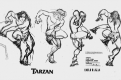 TarzanModelSheet30