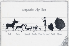 DieFurchtlosenVierSizeChart1