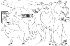 WolfsRainModelSheet14
